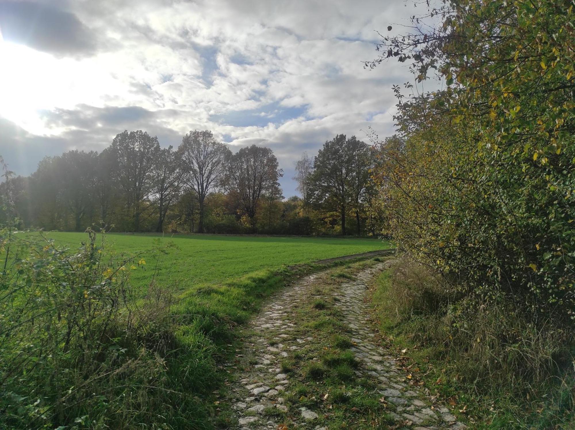 Lazurowa Prowansja - Agroturystyka Villa Toscana Boleslawiec  Kültér fotó